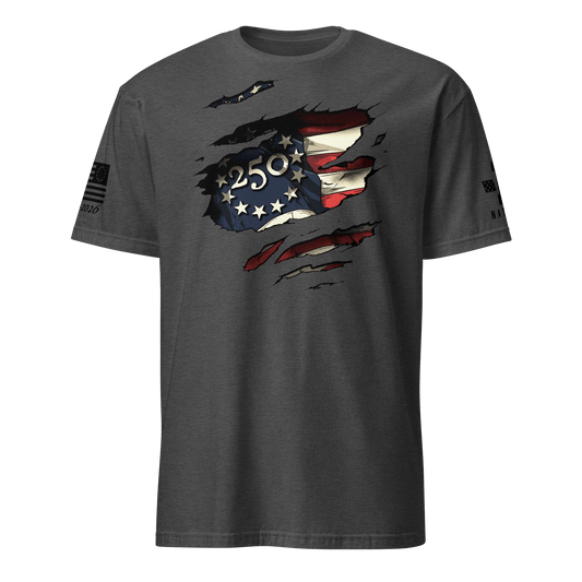 America 250 Torn
